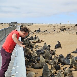 54cc621b-3cd1-466c-8cf1-f67f57edaf5c